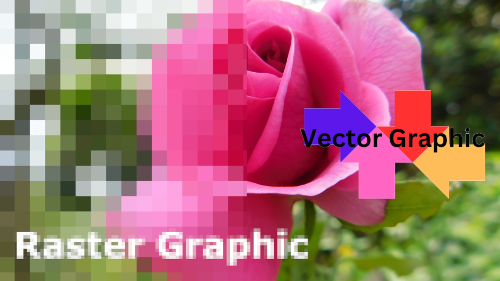 Vector Graphics, Where Numbers Define Art