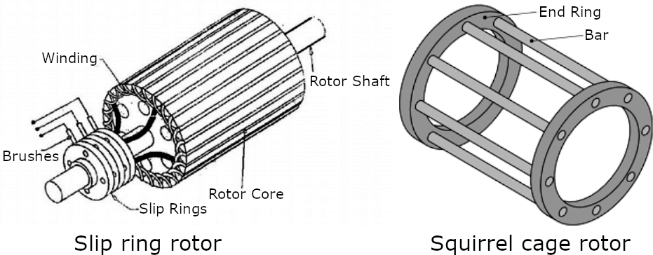 Slip ring and squirrel cage rotors