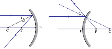 Ray parallel to principal axis
