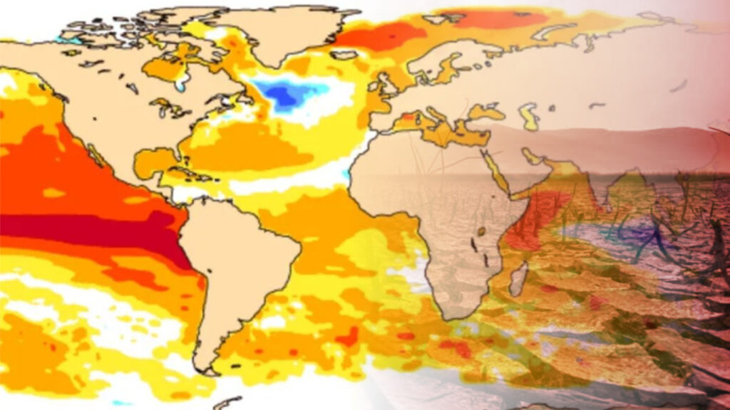 El Nino warming of the Pacific Ocean