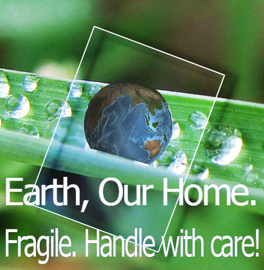 Sustainability